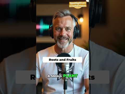 Easy Picnic Basket & Gift Ideas: Find the Perfect Spot! #shorts